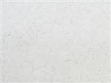 JGS-25113白珠贝